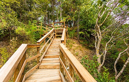 ID 9387 Apartments from the developer in Open Sea Residence Photo 5