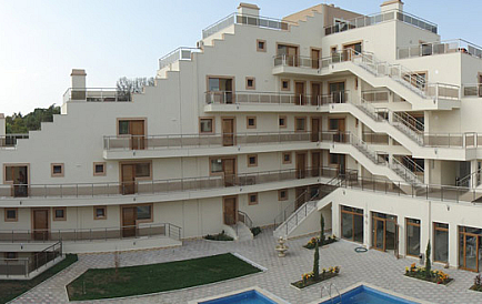 ID 179 Tango Photo 1 