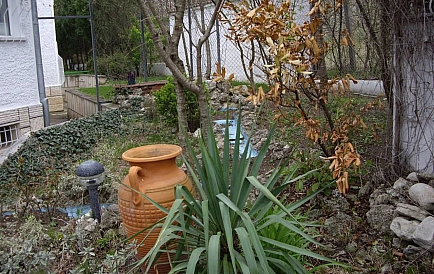 ID 10225 Three-storey house in Varna Photo 3