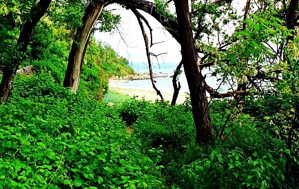 ID 2575 Villa Bistra Photo 2