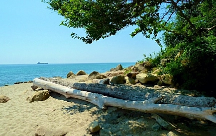 ID 2575 Villa Bistra Photo 8