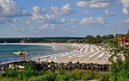 ID 2750 Green Paradise 2 Photo 2