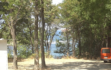 ID 4115 Vries Photo 2