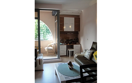 ID 4115 Vries Photo 8