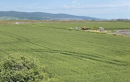 ID 8624 Studio apartment in Sunny Day 5 Photo 8