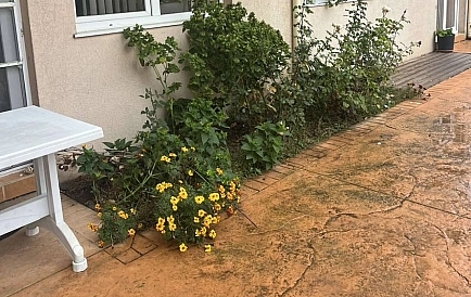 ID 14972 One-bedroom apartment in Balkan Breeze 2 Photo 5