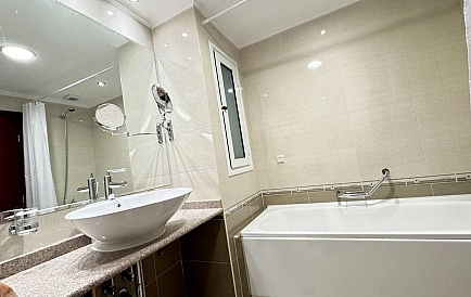 ID 14264 One-bedroom apartment in Downtown Photo 4