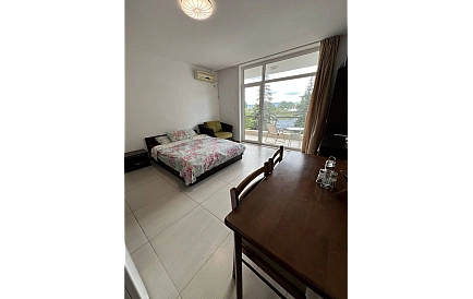 ID 15663 Studio apartment in Grand Kamelia Photo 3