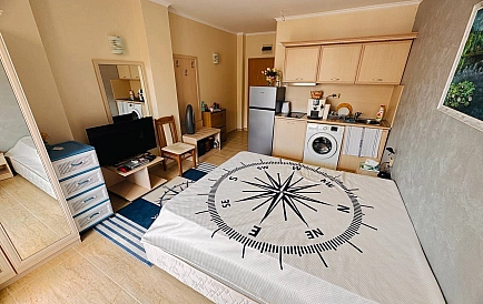ID 16644 Studio apartment in Avalon Photo 10