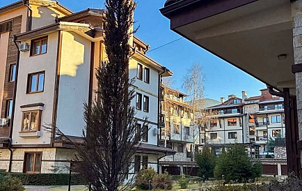 ID 13230 One-bedroom apartment in Downtown Photo 5