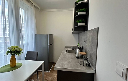 ID 15551 Studio apartment in Magnolia 3 Photo 9