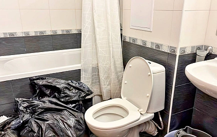 ID 15493 Studio apartment in Garden of Eden Photo 4