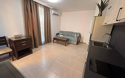 ID 16638 One-bedroom apartment in Villa Tanita Photo 9