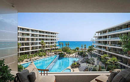 ID 14425 Apartments from the developer in Amira Sea Residence Photo 8