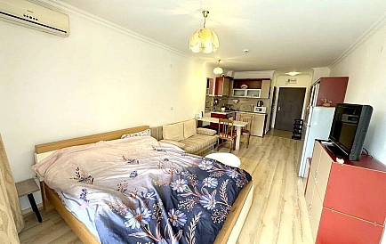 ID 15315 Studio apartment in Amphora Photo 9