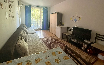ID 15734 Studio apartment in Sunny Day 6 Photo 3