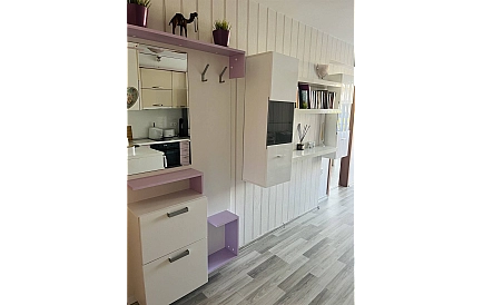 ID 16603 One-bedroom apartment in Grigoria Photo 8