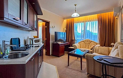 ID 13230 One-bedroom apartment in Downtown Photo 2