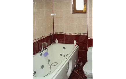 ID 13701 House in Gyulovtse Photo 3
