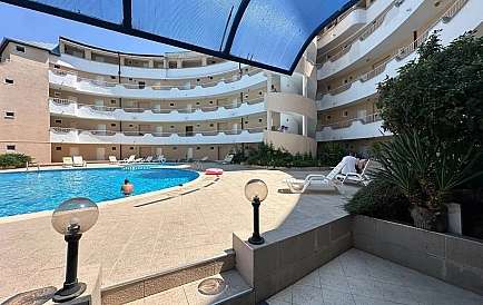 ID 15973 One-bedroom apartment in Athos Photo 8