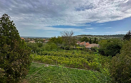 ID 13124 House in Detelina Photo 10