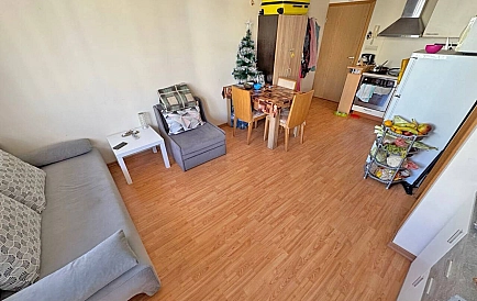 ID 16399 One-bedroom apartment in Garden of Eden Photo 8