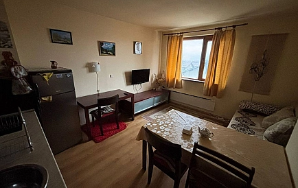 ID 14850 One-bedroom apartment in Mountain Suites Photo 8