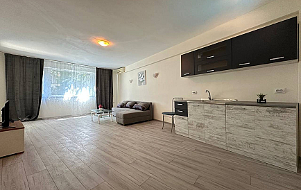 ID 15972 One-bedroom apartment in Athos Photo 1 