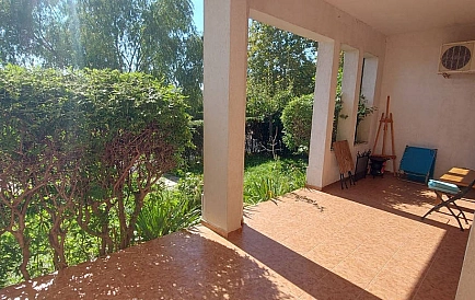 ID 16184 0 Photo 6