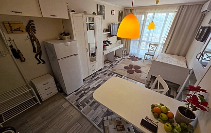 ID 15908 Studio apartment in Yurta Balkana Photo 9