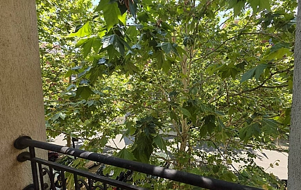 ID 15995 One-bedroom apartment in Marina Cape Photo 7