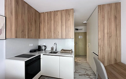 ID 16066 Studio apartment in Solemar By Sea Photo 7