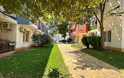 ID 16242 One-bedroom apartment in Sunny Day 3 Photo 2