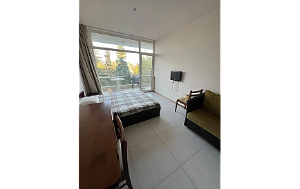 ID 16695 Studio apartment in Grand Kamelia Photo 3