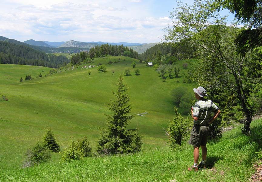 Tourist looks at the green plain