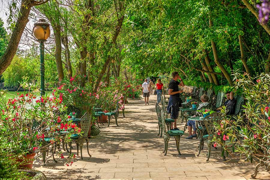 Botanical garden in Ravadinovo castle