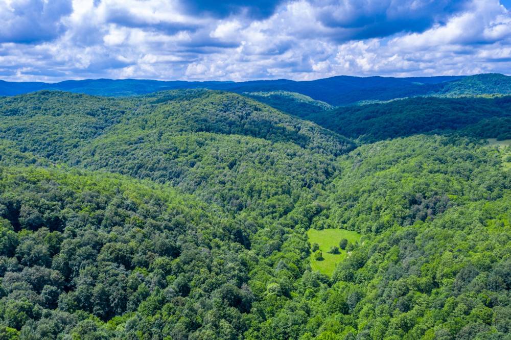 The forested Rhodope Mountains — a symbol of Bulgaria