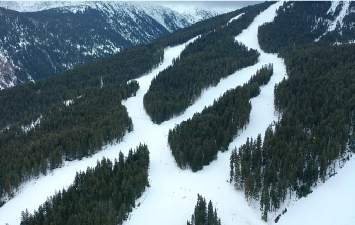 Ski slopes in Bansko are located in the middle of forest plantations.